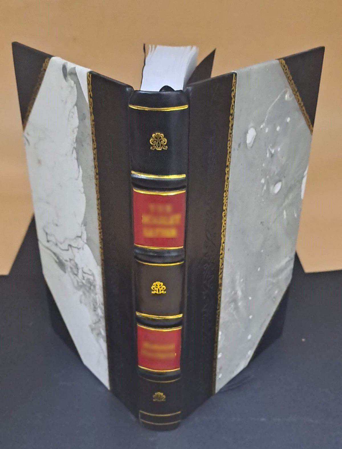 Cover of Father Goriot
